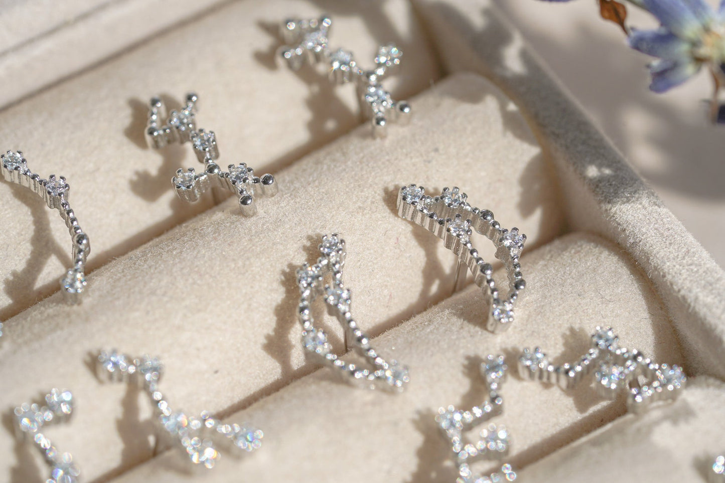Constellation Zodiac Earrings