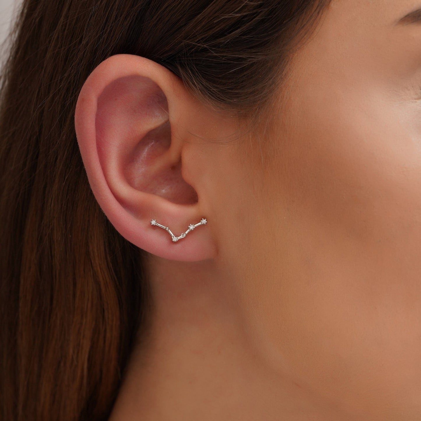 Constellation Zodiac Earrings
