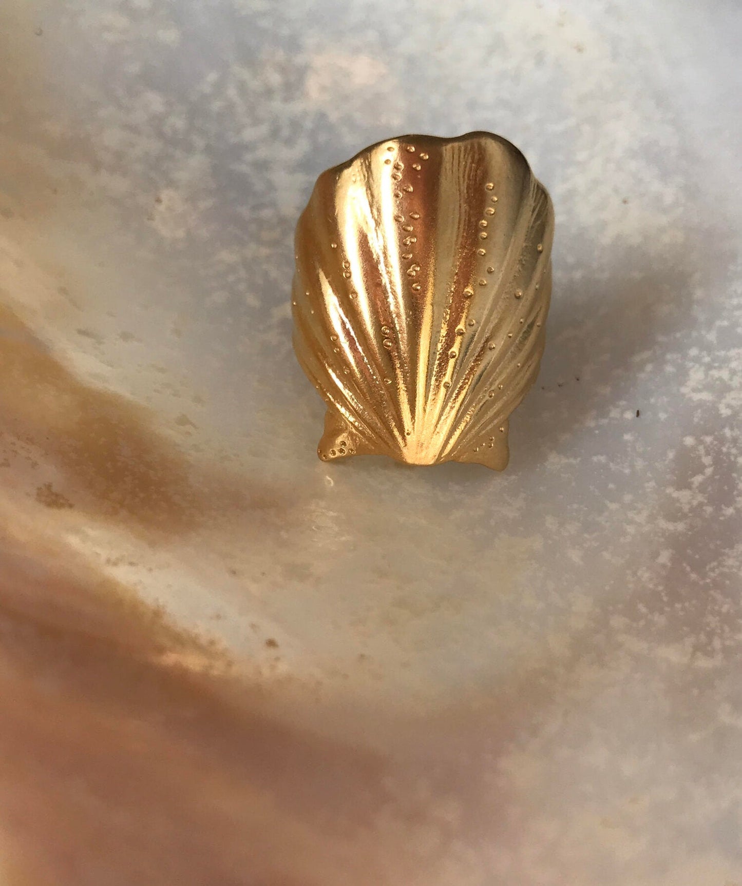Shell love ring presented as tropical gift