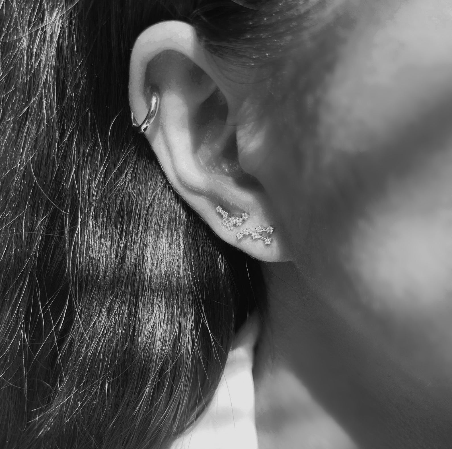 Detail of zodiac set with silver and crystals